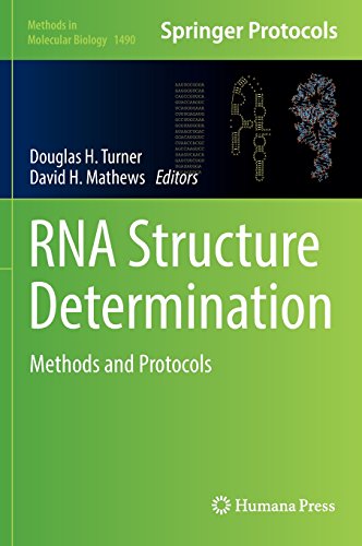 1564592.jpg تعیین ساختار RNA: روش ها و پروتکل ها ۲۰۱۶