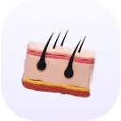 کتاب های پوست-کالیبو