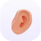 جراحی گوش و حلق و بینی