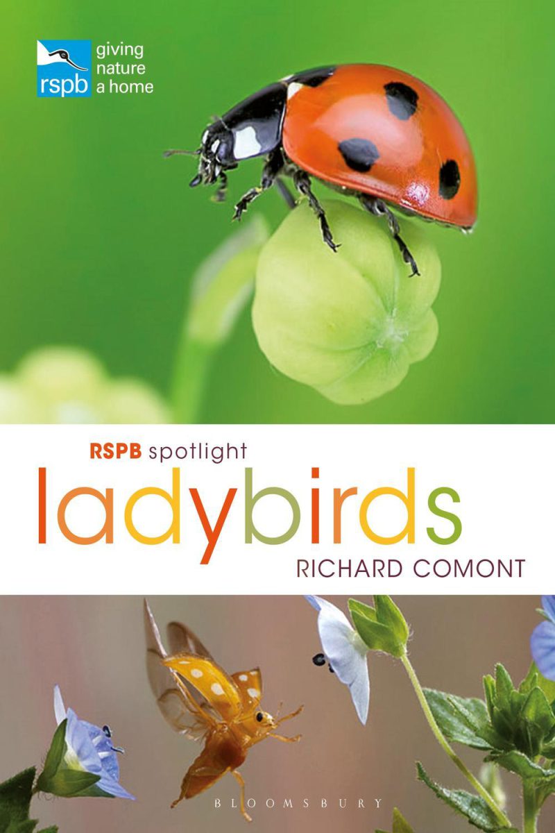 کفشدوزک های برجسته RSPB ۲۰۱۹