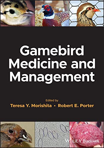 GameBird Medicine و مدیریت