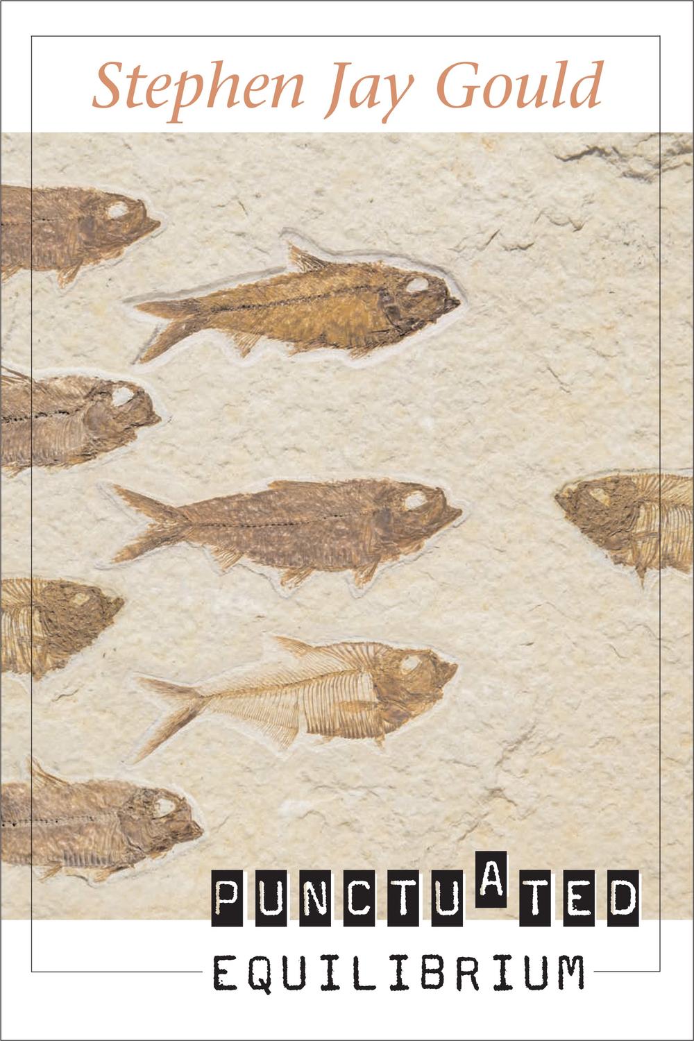 تعادل نقطه‌ای