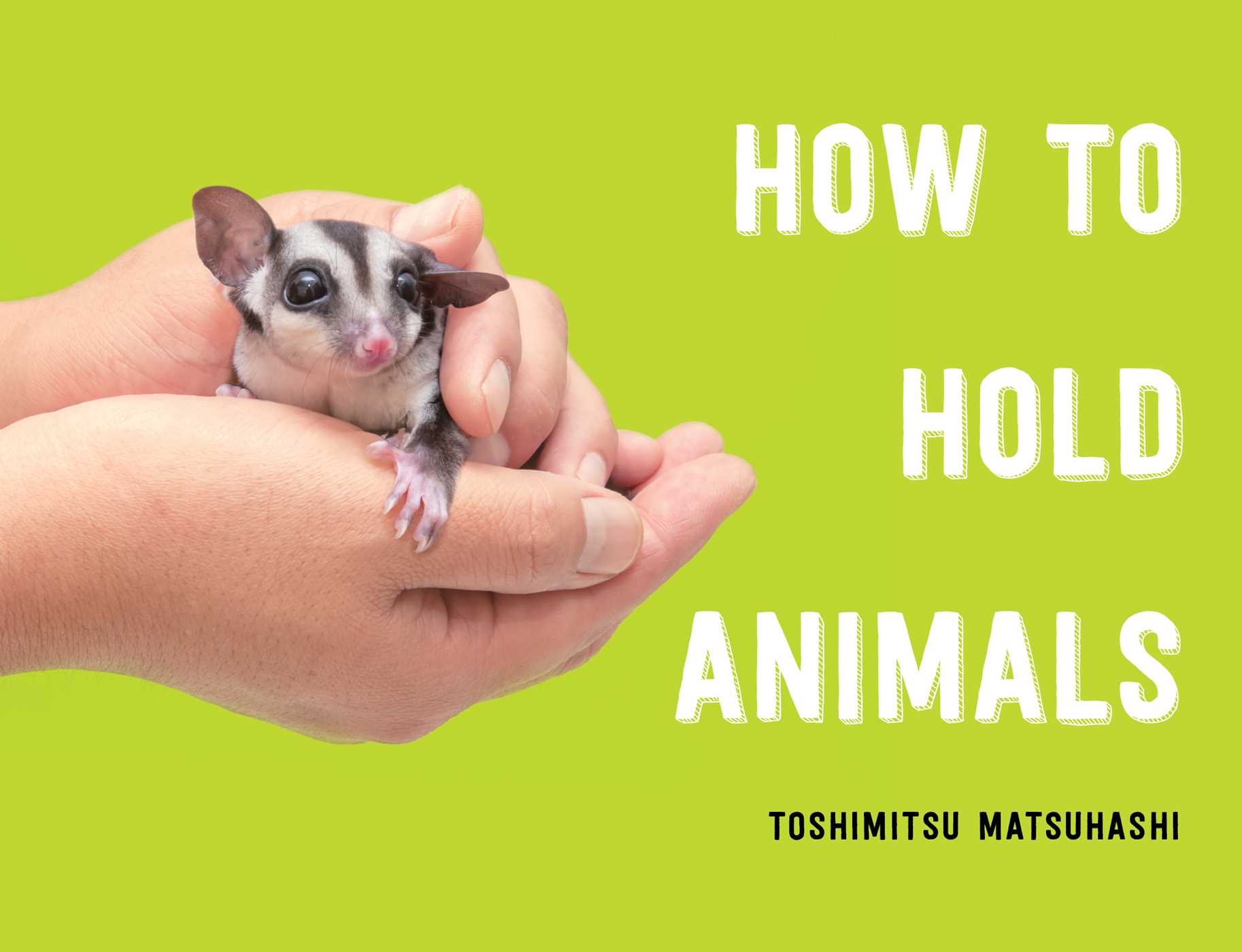 چگونه حیوانات را در آغوش بگیریم