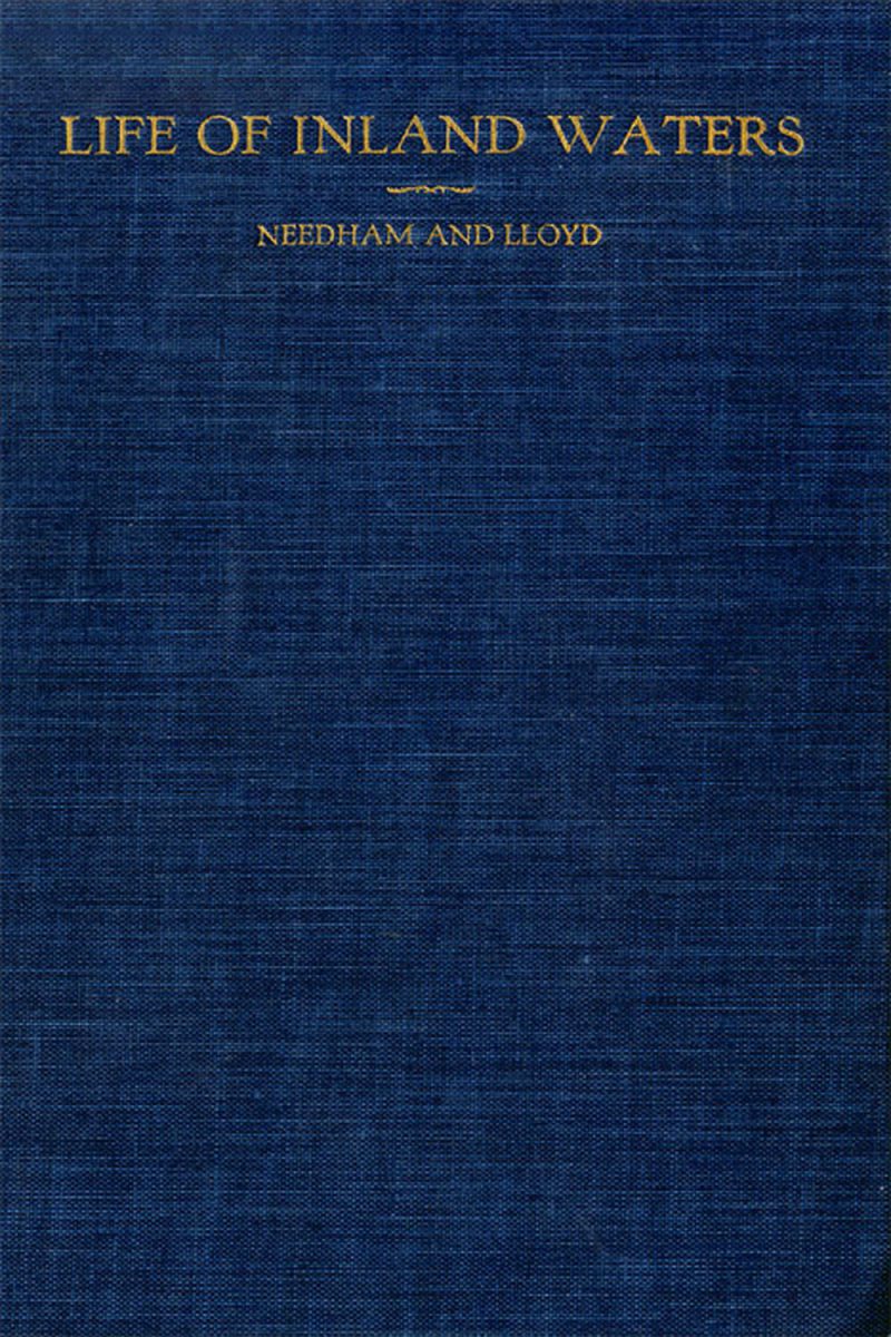 حیات آب‌های داخلی