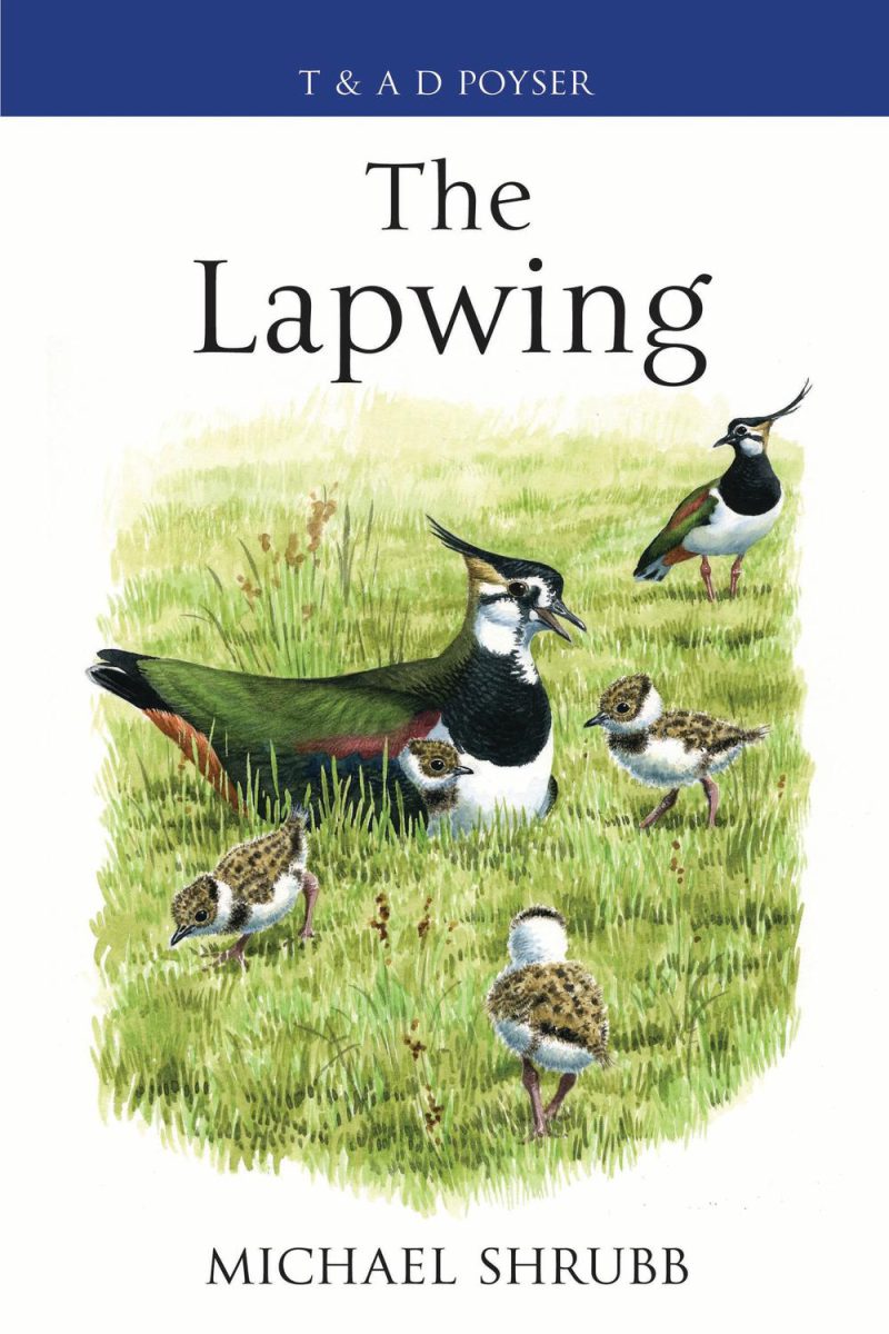 [چَکاوَک](https://en.wikipedia.org/wiki/Northern_lapwing)