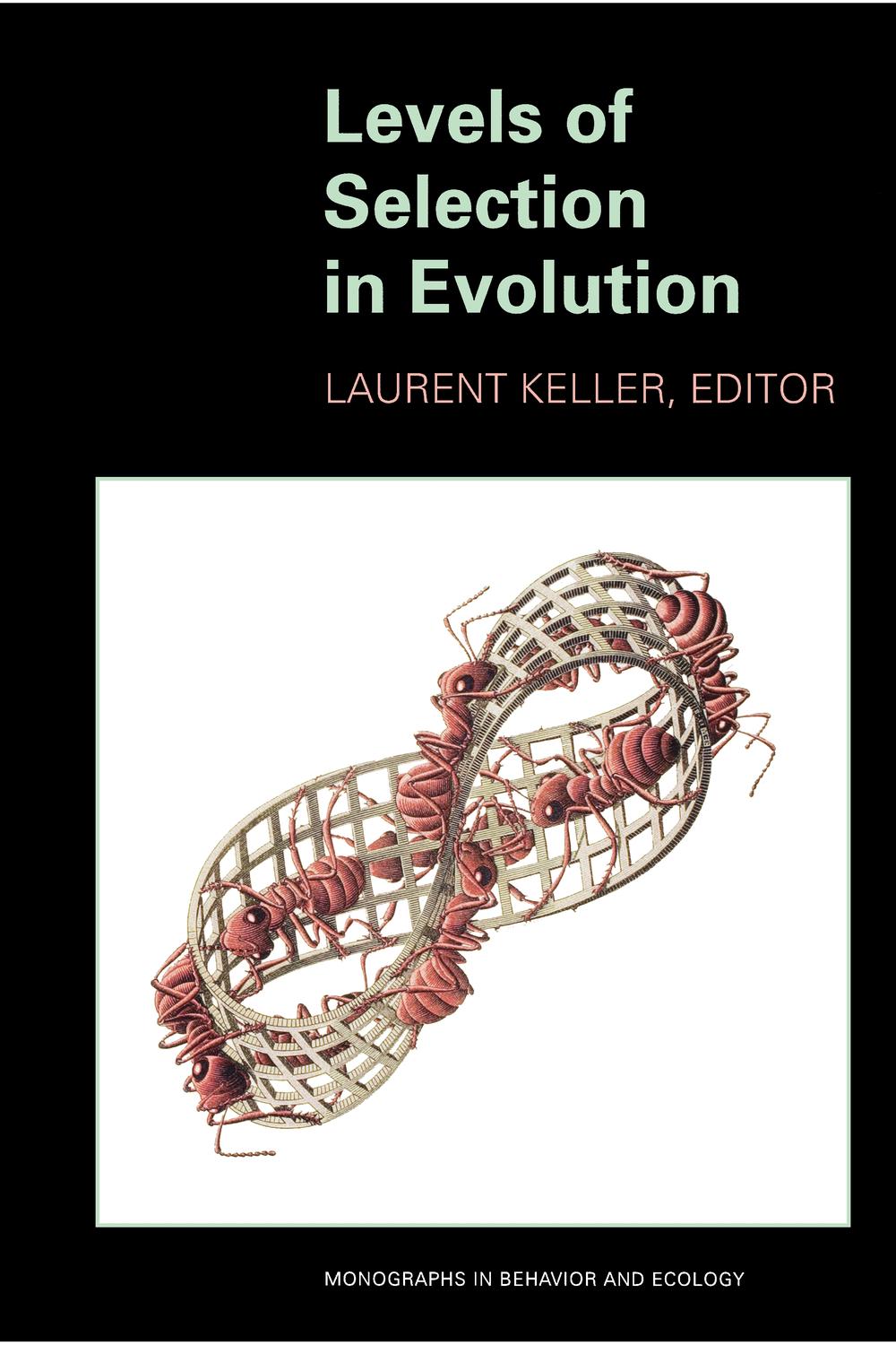 سطوح انتخاب در فرگشت