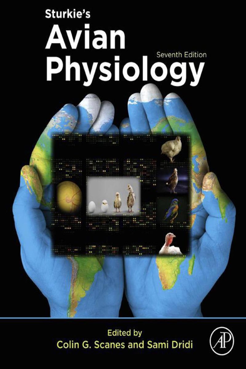 فیزیولوژی پرندگان استورکی